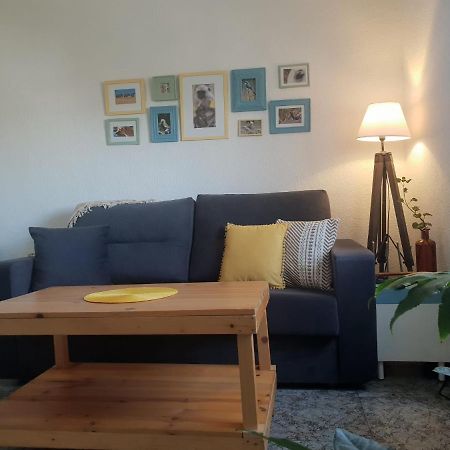 Bonito Y Coqueto Apartamento Кордова Экстерьер фото