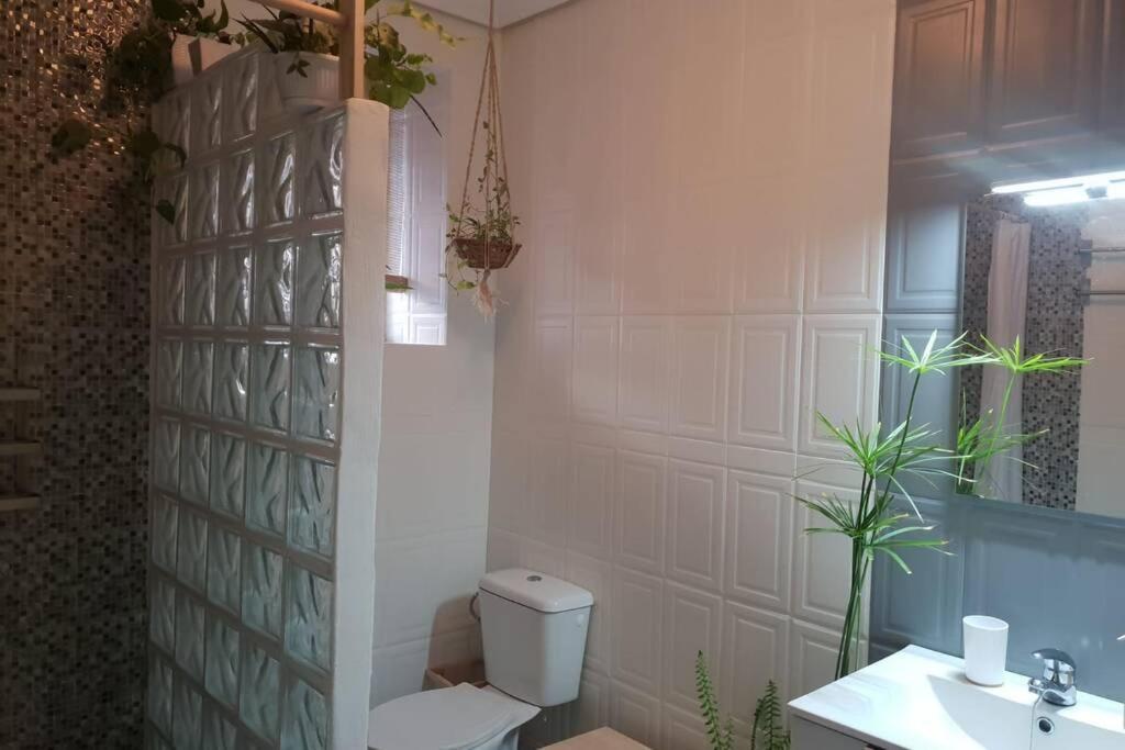 Bonito Y Coqueto Apartamento Кордова Экстерьер фото