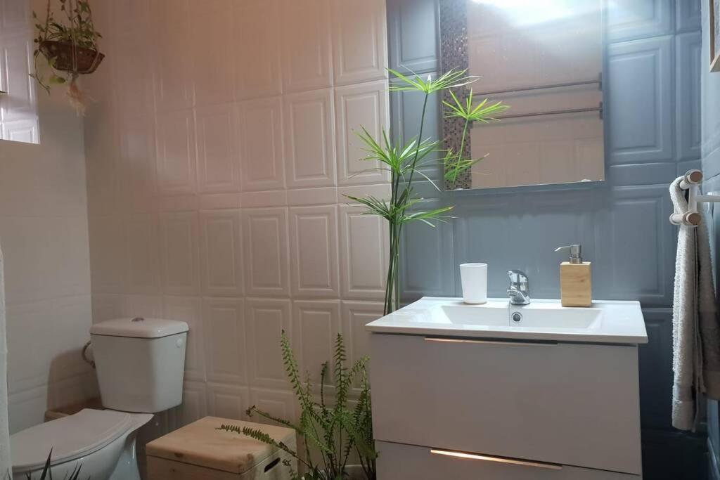 Bonito Y Coqueto Apartamento Кордова Экстерьер фото